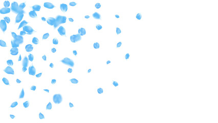 Frame template romance background with realistic blue cherry rose petals. floral flying wind