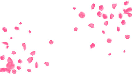 Romantic background with realistic pink rose petals, floral love season, romance greeting card