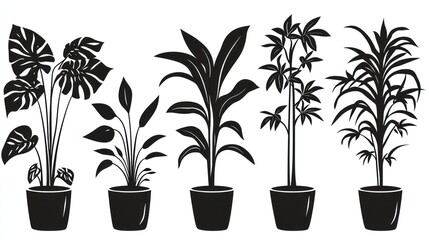 Six potted houseplants, silhouettes, white background, home decor
