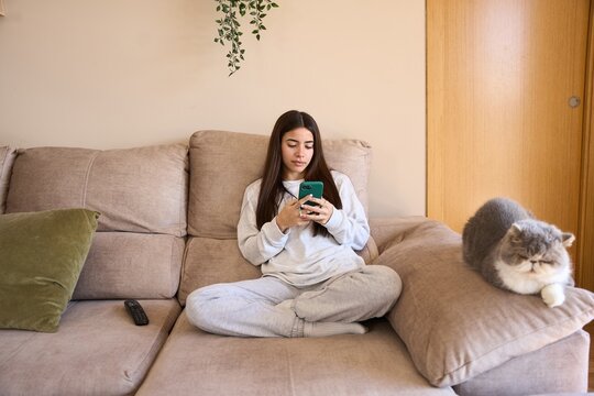 Young woman using smartphone with exotic shorthair cat relaxing on sofa