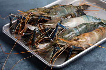 Raw Giant Shrimp on Aluminum Tray. Low Fat Food Concept. Handmade Photo, Not AI