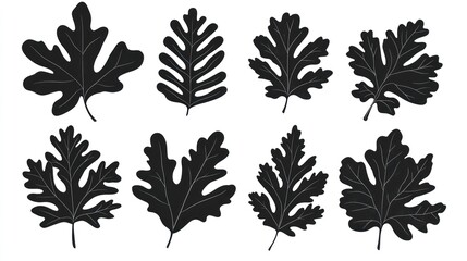 Eight black oak leaf silhouettes on white. Autumn design element