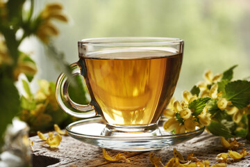 A cup of herbal tea with fresh blooming yellow archangel or golden dead-nettle plant