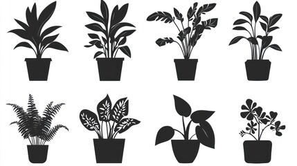Potted plants collection; indoor greenery; home decor; white background; design elements