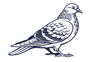 dove of peace