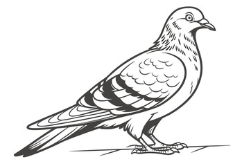 Fototapeta premium bird