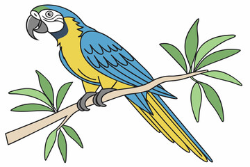 parrot on branch