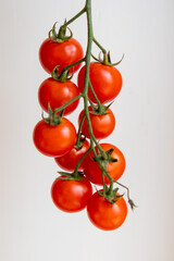 Fresh Cherry Tomatoes on the Vine – Healthy Organic Snack on White Background