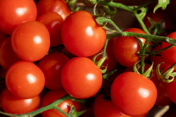 Fresh Cherry Tomatoes on the Vine – Healthy Organic Snack