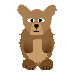 Cute brown bear isolated on a white background