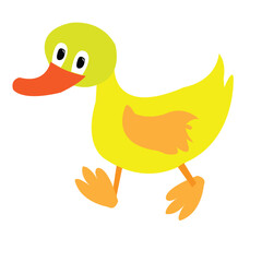 Cute cartoon duck isolated on a white background
