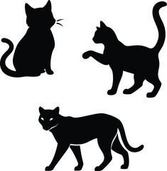 cats silhouette in different poses. Hand drawn black cats isolated on white and vector background.