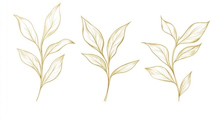 Fototapeta premium Golden leaves, elegant branches, botanical art, white background, design element
