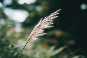 close-up of delicate wildlife fragment against serene natural backdrop capturing textures of flora and fauna