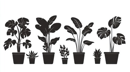 Obraz premium Indoor plants, potted silhouettes, home decor, white background, design element