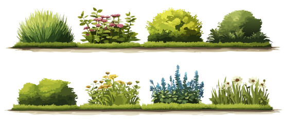 Flowerbeds vector illustration 