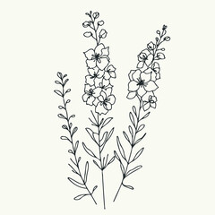 Set of outline herbs, Meadow leaves, doodle floral. Hand drawn wild flowers Botanical drawing. Detailed line art Delphinium illustration. Simple Stylized wildflowers. Black and White Larkspur