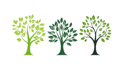 Fototapeta premium Three stylized green trees, nature illustration, white background, eco design