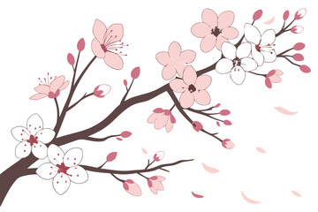 53 Flowering trees, cherry blossoms, pink and white petals, delicate branches, spring bloom, botanical illustration, watercolor style, vector art, clean white background, decorative floral design, sea