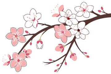 53 Flowering trees, cherry blossoms, pink and white petals, delicate branches, spring bloom, botanical illustration, watercolor style, vector art, clean white background, decorative floral design, sea