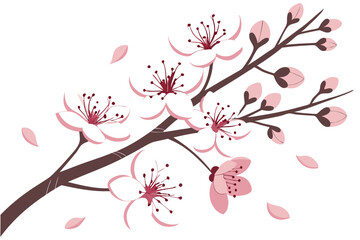 53 Flowering trees, cherry blossoms, pink and white petals, delicate branches, spring bloom, botanical illustration, watercolor style, vector art, clean white background, decorative floral design, sea