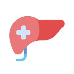 Obraz premium Liver with Plus Icon Representing Hepatic Health and Wellness