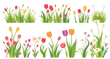 spring flowers and grass set