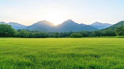 Obraz premium Lush green meadow at sunrise, mountains in the background