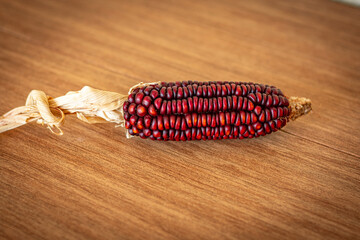 milho de pipoca vermelho