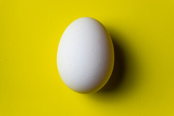 White egg and yellow background