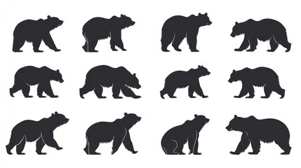 Twelve bear silhouettes walking, standing, sitting; wildlife illustration for zoology, wildlife, or nature design