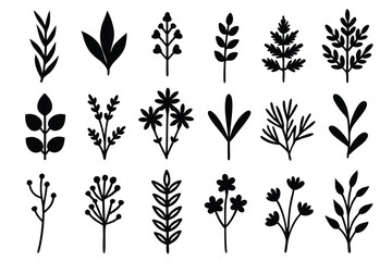 Seamless Pattern of Black and White Botanical Branches, Leaves, Flowers, Plants