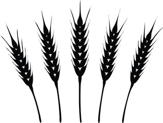 Silhouette of Five Stalks of Wheat on White Background