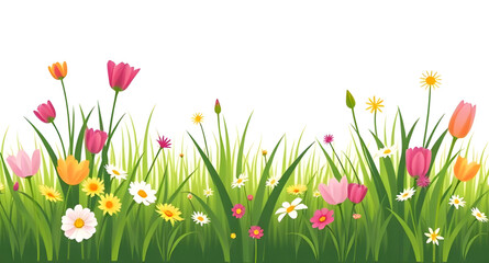 Fototapeta premium spring flowers and grass
