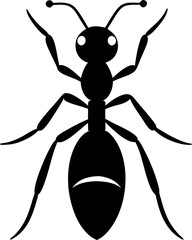 vector illustration of a ant
