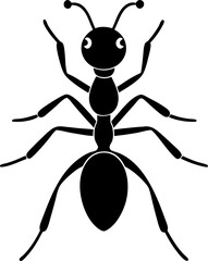 black  ant spider isolated on white