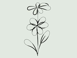 Elegant Minimalist Line Art Flower Drawing Illustration