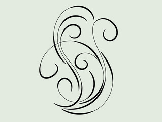 Elegant Black Swirl Design Element for Decoration