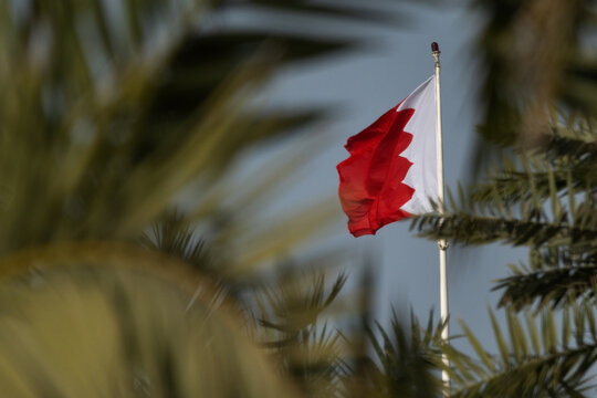Bahrain flag photographed through date palm tree