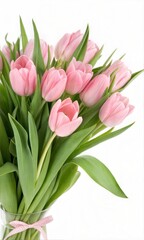 Fresh bouquet of pink tulips, isolated on white. (Bouquet)