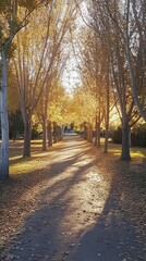Fototapeta premium Serene Pathway Surrounded by Golden Trees in Autumn Light