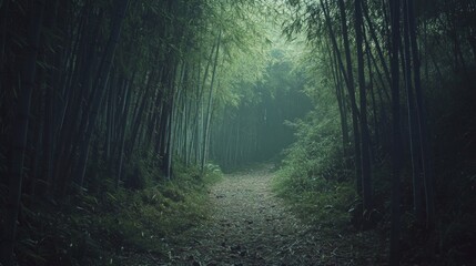 Serene Bamboo Forest Pathway in Tranquil Natural Space