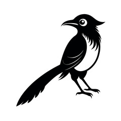 Black Vector Silhouette of Motmot Bird on White Background
