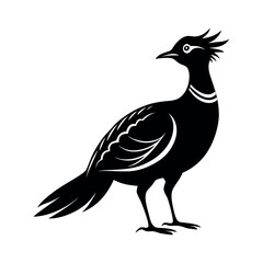 Black Vector Silhouette of Walking Great Argus Bird on White Background