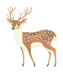 Fototapeta premium Illustrated deer with antlers and spotted coat in profile view, cut out - stock png.