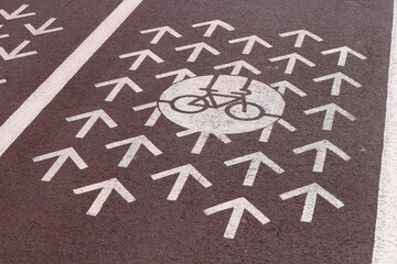 Bike Lane Direction Markings