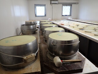 Production of Parmigiano Reggiano in Parma