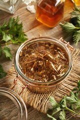 Fresh nettle root macerating in alcohol to prepare herbal tincture