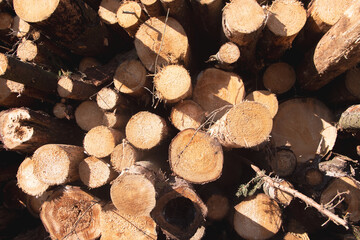 logs close background and texture abstraction