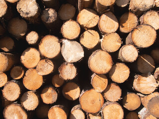 logs close background and texture abstraction
